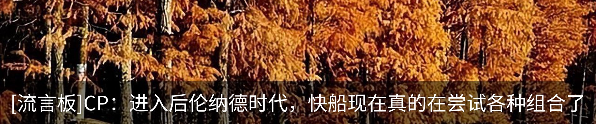 新闻动态